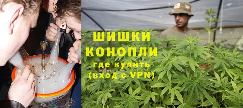 Конопля White Widow  Дубна 